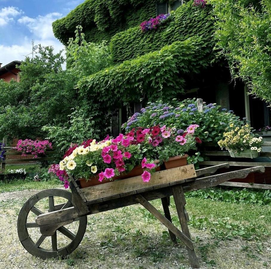 Agriturismo Cascina Selva Bed and Breakfast Ozzero Eksteriør billede